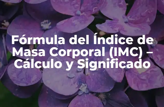 Fórmula Del Índice de Masa Corporal (imc) – Cálculo y Significado