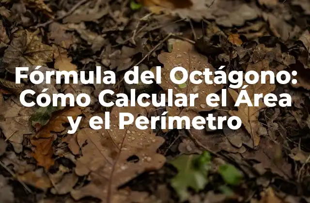 Fórmula Del Octágono: Cómo Calcular el Área y el Perímetro
