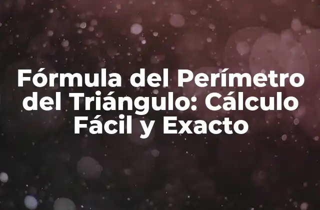 Fórmula Del Perímetro Del Triángulo: Cálculo Fácil y Exacto