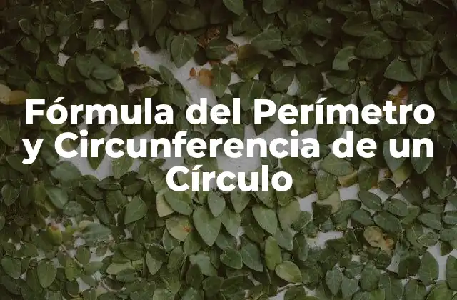 Fórmula Del Perímetro y Circunferencia de un Círculo