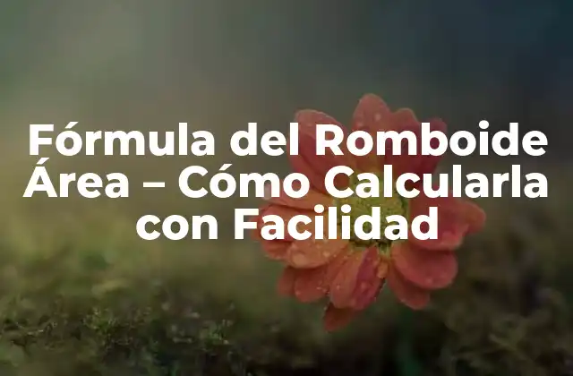Fórmula Del Romboide Área – Cómo Calcularla con Facilidad