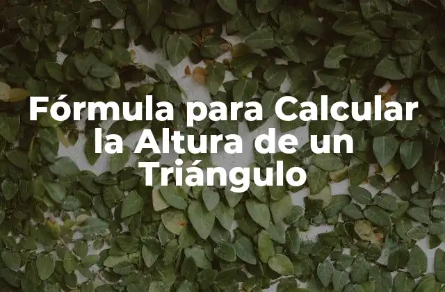 Fórmula para Calcular la Altura de un Triángulo