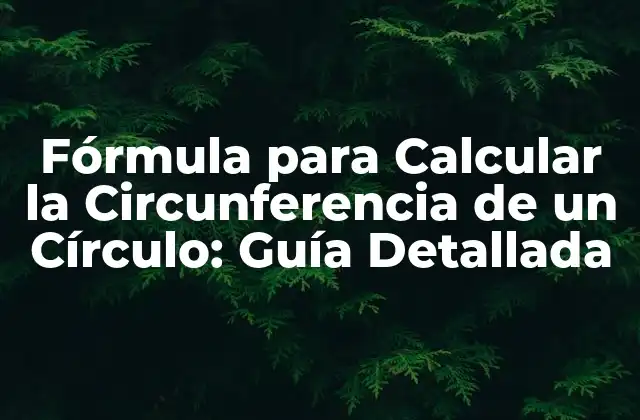 Fórmula para Calcular la Circunferencia de un Círculo: Guía Detallada
