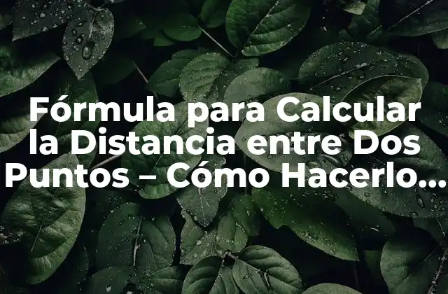 Fórmula para Calcular la Distancia entre Dos Puntos – Cómo Hacerlo con Precisión