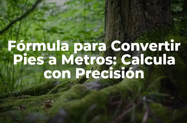 ¿Por qué es Importante Convertir Pies a Metros?