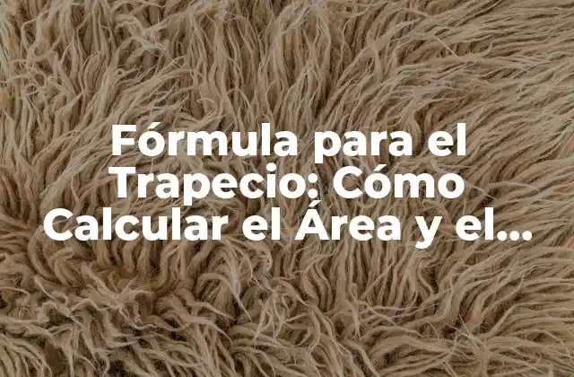 Definición y Características del Trapecio