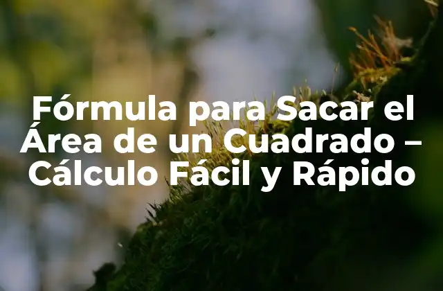 Fórmula para Sacar el Área de un Cuadrado – Cálculo Fácil y Rápido