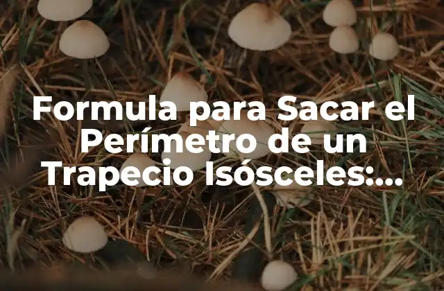 Formula para Sacar el Perímetro de un Trapecio Isósceles: Guía Completa
