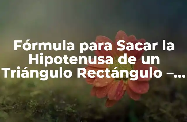 Fórmula para Sacar la Hipotenusa de un Triángulo Rectángulo – ¡descúbrelo!