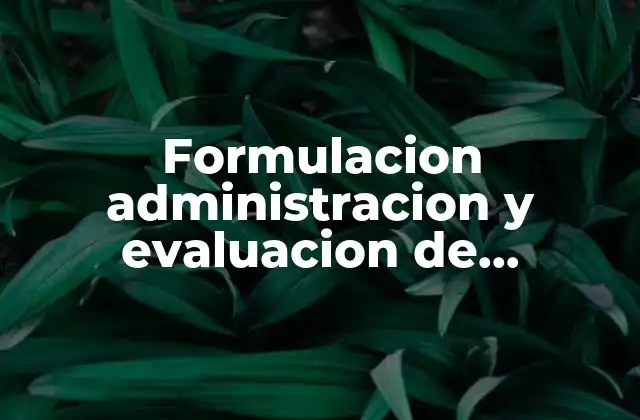 Formulacion Administracion y Evaluacion de Proyectos que es