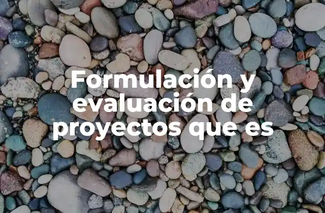 Formulación y Evaluación de Proyectos que es