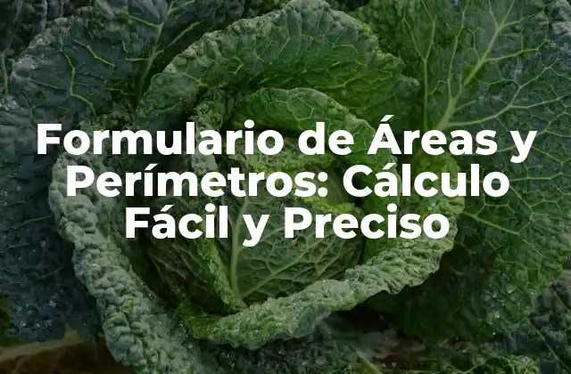 Formulario de Áreas y Perímetros: Cálculo Fácil y Preciso