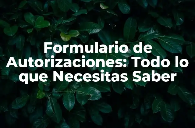 Formulario de Autorizaciones: Todo Lo que Necesitas Saber