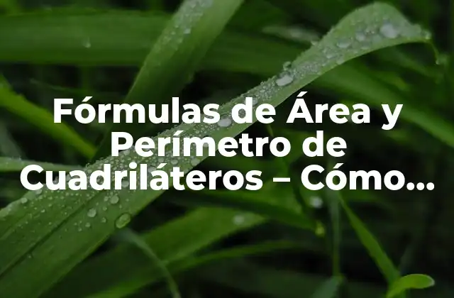 Fórmulas de Área y Perímetro de Cuadriláteros - Cómo Calcularlos con Fácil 2 Fórmula para el Área de un Rectángulo