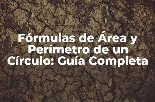 Fórmulas de Área y Perímetro de un Círculo: Guía Completa