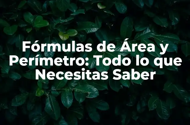 Fórmulas de Área y Perímetro: Todo Lo que Necesitas Saber
