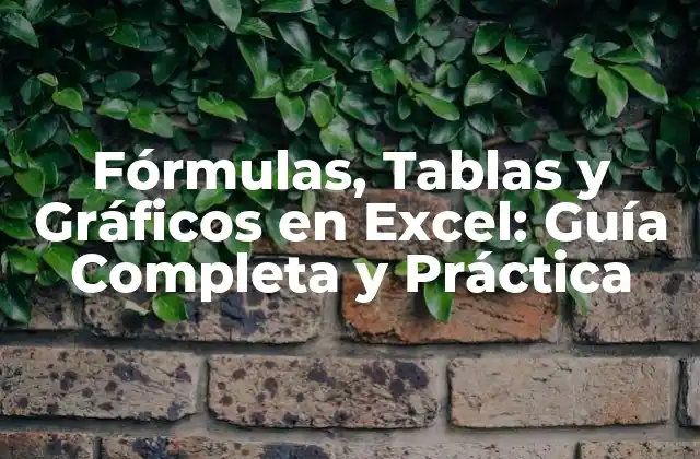 ¿Qué son las Fórmulas en Excel?