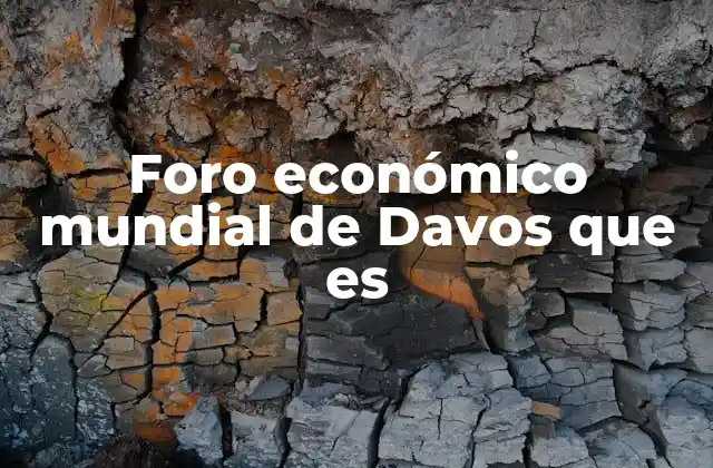 Foro Económico Mundial de Davos que es