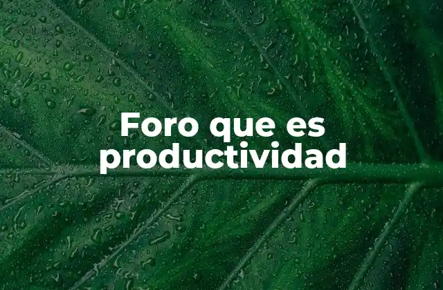 Foro que es Productividad