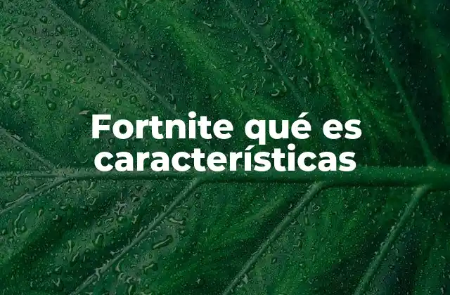 Fortnite Qué es Características 2 Fortnite y su evolución como fenómeno cultural