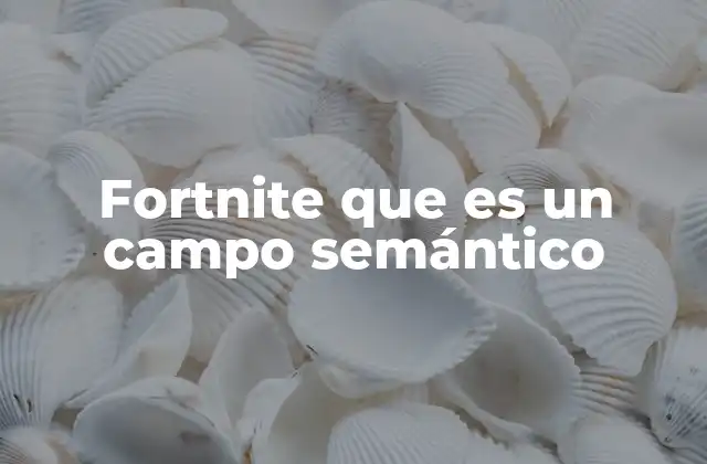 Fortnite que es un Campo Semántico