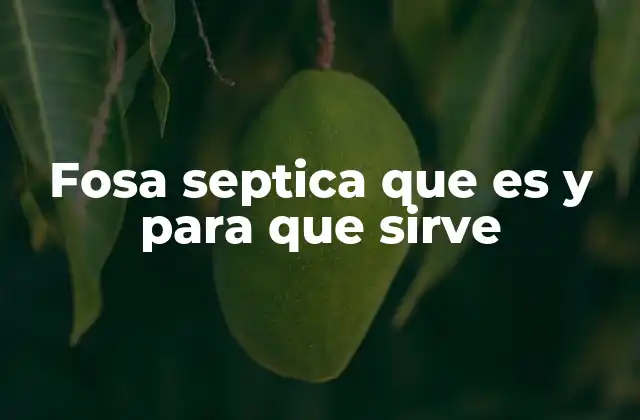 Fosa Septica que es y para que Sirve