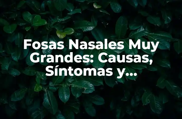 Fosas Nasales Muy Grandes: Causas, Síntomas y Tratamientos