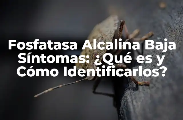 Fosfatasa Alcalina Baja Síntomas: ¿qué es y Cómo Identificarlos?