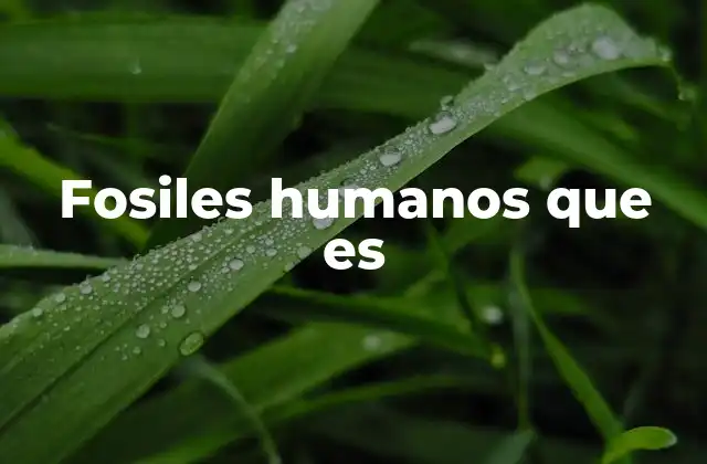 La importancia científica de los fósiles humanos