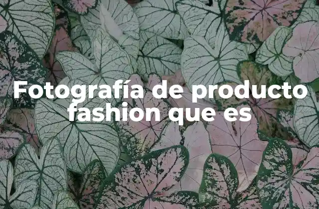 Fotografía de Producto Fashion que es 2 El arte de presentar lo invisible