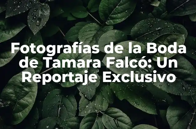 Fotografías de la Boda de Tamara Falcó: un Reportaje Exclusivo