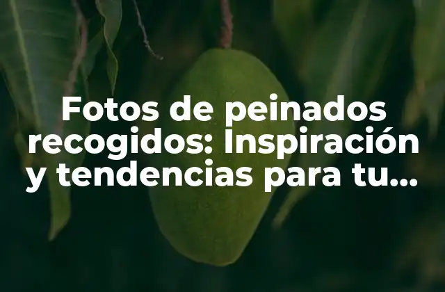 Fotos de Peinados Recogidos: Inspiración y Tendencias para Tu Look