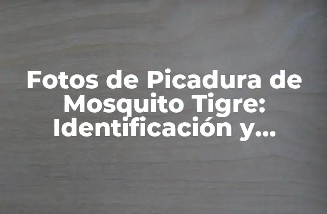 Fotos de Picadura de Mosquito Tigre: Identificación y Prevención