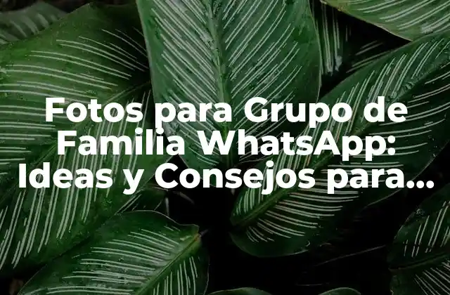 Fotos para Grupo de Familia Whatsapp: Ideas y Consejos para Capturar Memorias Inolvidables