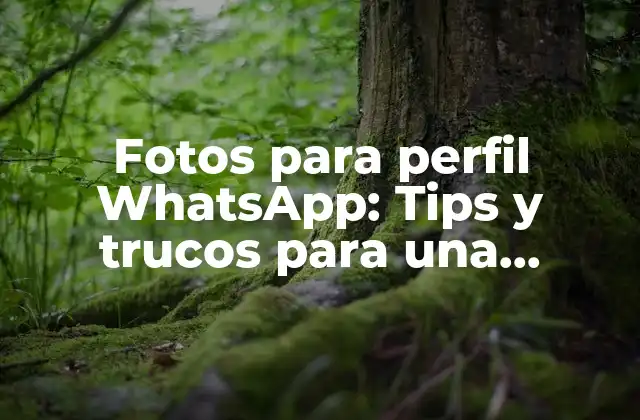 Fotos para Perfil Whatsapp: Tips y Trucos para una Imagen Perfecta