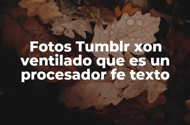 Fotos Tumblr Xon Ventilado que es un Procesador Fe Texto