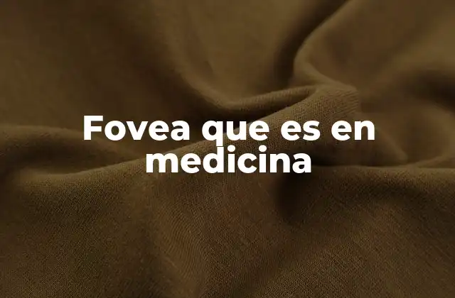 Fovea que es en Medicina 2 La fovea y su papel en la visión central