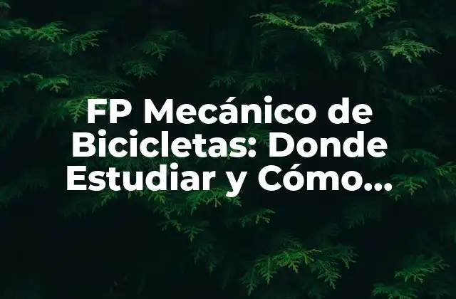 Fp Mecánico de Bicicletas: Donde Estudiar y Cómo Convertirte en un Experto