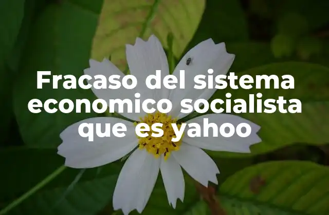 Fracaso Del Sistema Economico Socialista que es Yahoo
