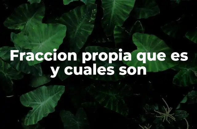 Fraccion Propia que es y Cuales Son