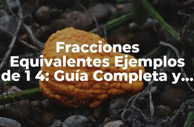 Fracciones Equivalentes Ejemplos de 1 4: Guía Completa y Detallada