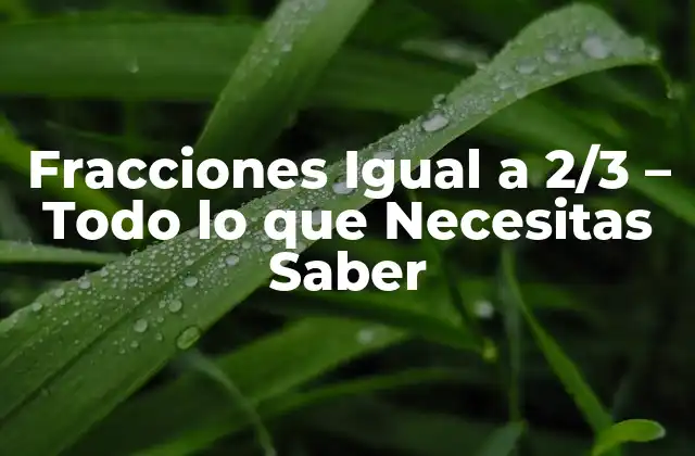 Fracciones Igual a 2/3 – Todo Lo que Necesitas Saber