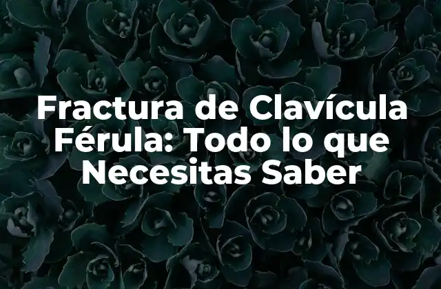 Fractura de Clavícula Férula: Todo Lo que Necesitas Saber