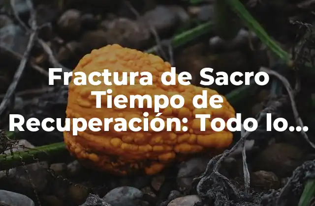Fractura de Sacro Tiempo de Recuperación: Todo Lo que Necesitas Saber