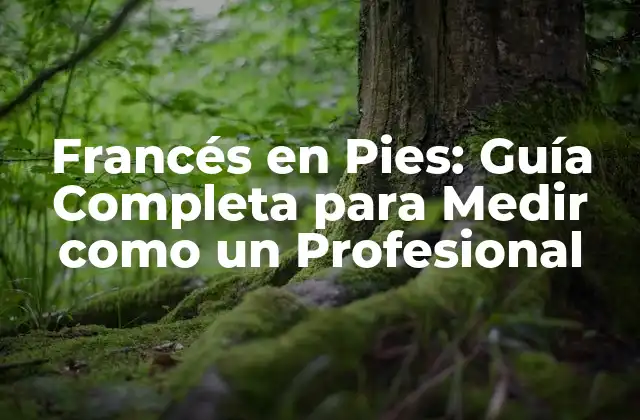 Francés en Pies: Guía Completa para Medir como un Profesional