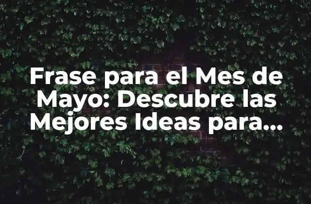 Frase para el Mes de Mayo: Descubre las Mejores Ideas para Inspirarte