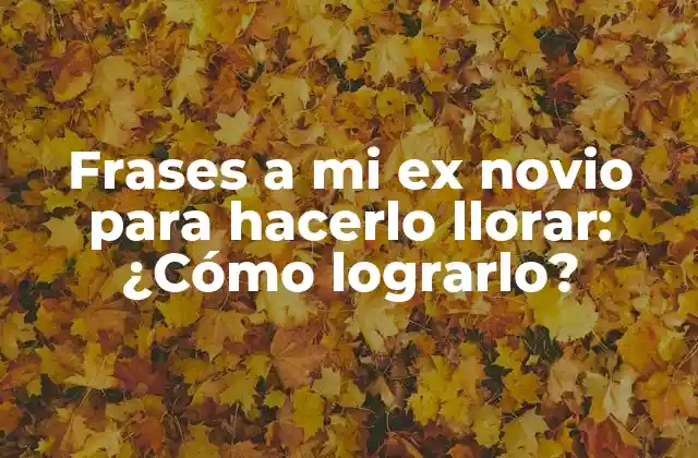 Frases a Mi Ex Novio para Hacerlo Llorar: ¿cómo Lograrlo?