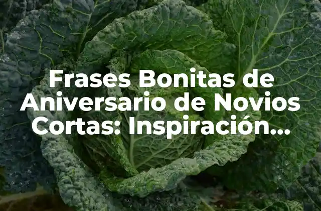 Frases Bonitas de Aniversario de Novios Cortas: Inspiración para Tu Amor