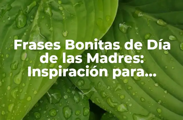 Frases Bonitas de Día de las Madres: Inspiración para Celebra