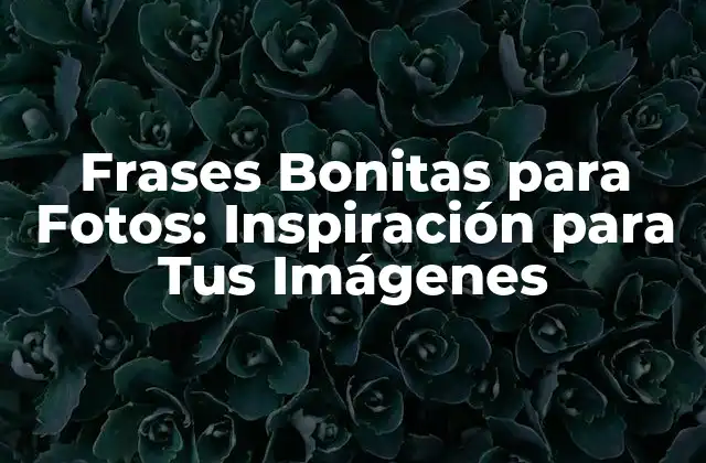 Frases Bonitas para Fotos: Inspiración para Tus Imágenes